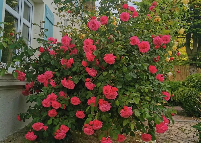 Duzy Dom Nad Morzem - Toskanski Zakatek * Bedzino